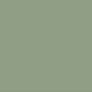 Olive • bis 15cm